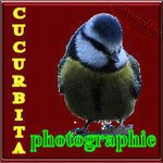 photographie, ma vision de la nature