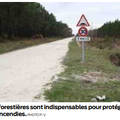 Lutte contre les feux de forêt
