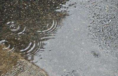 Il pleut, il mouille, c'est la fête à la grenouille...