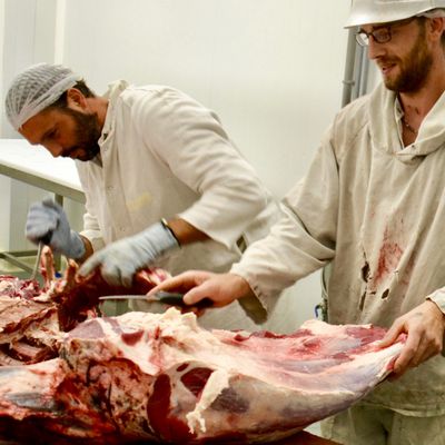  ABATTOIR D’HIRSON : UNE OPPORTUNITÉ A SAISIR.