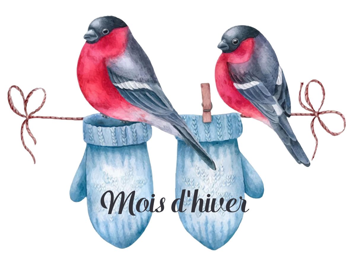 JANVIER MOIS D'HIVER