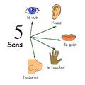 Quiz langue française: connaissez-vous ces expressions liées aux 5 sens 📝
