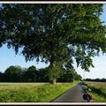 Le cyclo des villes et la souris des champs