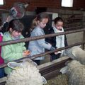 Ferme pédagogique de Crochte