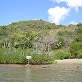 L'exemple de la forêt séche de Mayotte !!!