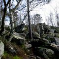 FONTAINBLEAU - Forêt Domaniale Des Trois Pignons (Près de Fontainbleau)