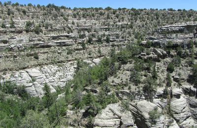 Flagstaff et le GRAND CANYON