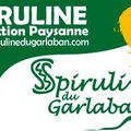 Spiruline du Garlaban