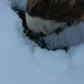 Des belles images de février.