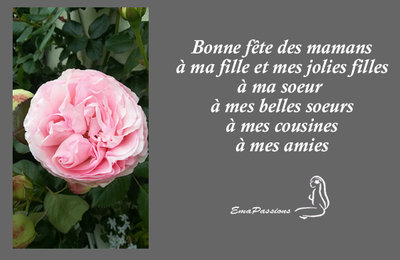 Une rose pour...