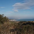 rando Collioure PORTES OUVERTES