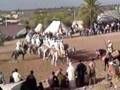 Le Moussem et le Samaâ au Maroc 