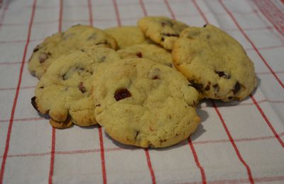 Les cookies chocolat-cranberries : lancement officiel de ce blog !