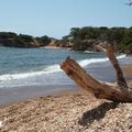 Porquerolles #2