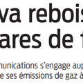Reboisement