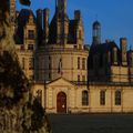 Chambord Ventru.