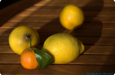 Tarte citron-bergamote au yaourt de brebis, sans blé, sans lait de vache