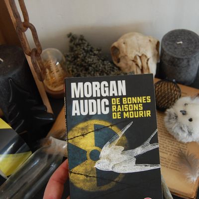 [ AVIS LECTURE ] De bonnes raisons de mourir de Morgan Audic