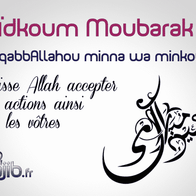 aid moubarak