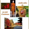 Challenge combo couleurs d'Automne