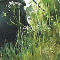 le bonheur est dans le pré