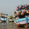 Fishing boats