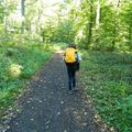 Le monde de la forêt