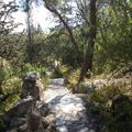 Yoga sur la colline des Muses 