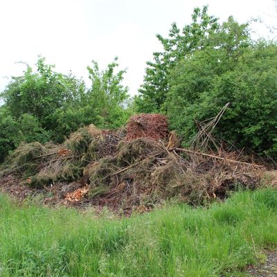 En Fonny, il y a aussi le plus moche !