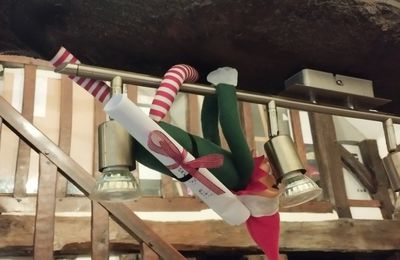 Epicétout, notre lutin de Noël