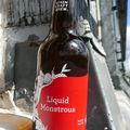 Liquid Monstrous - Siren Craft Brew - Red IPA - Bière anglaise