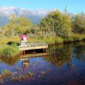 Vue de « Roys Peek » ; aucune photo ne peut