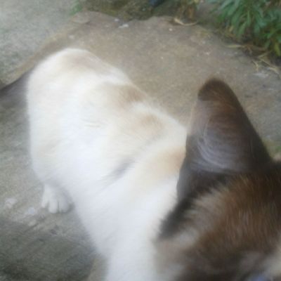 15, 16 et 17ème jour de cure