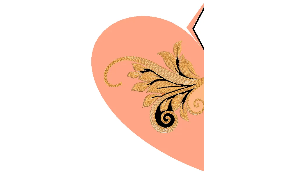 Coris un coeur pas comme les autres