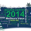 2014 - Meilleurs Voeux !!!!!