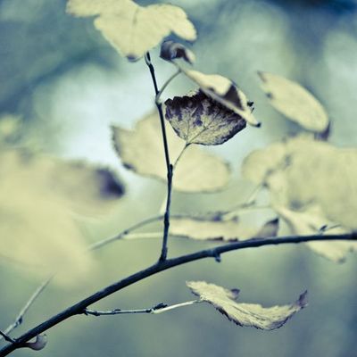 Parc Barbieux de Roubaix