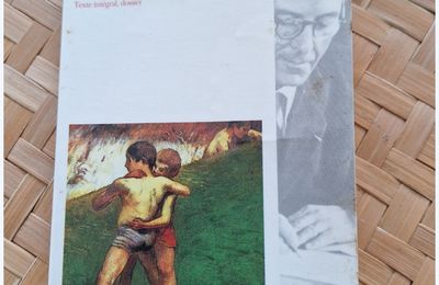 L'enfant et la rivière : une page inspirée d'un roman