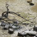 Au pied de la cascade du Hérisson (Jura, 39)