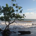 pic nic sur la plage Ambato avec Chiva