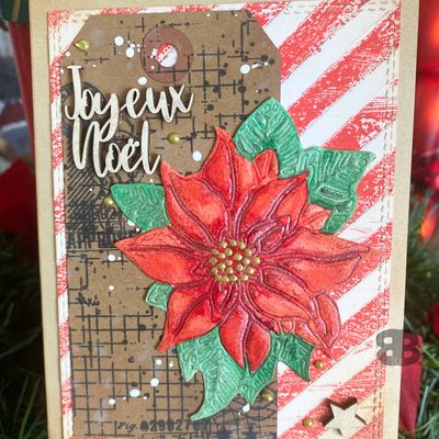 Cartes de vœux "poinsettia"