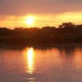 SUNSET AMAZONIA