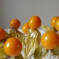 Amours en cage ou physalis déguisés