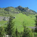 SUR LES TRACES DES " LERCH " DU MONTAFON