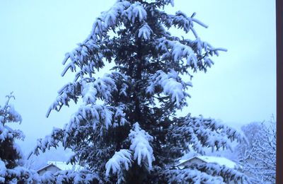 Ma couleur préférée aujourd'hui ???? LE BLANC 