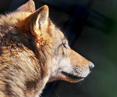 Chapitre 10 (Partie 3)