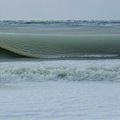 "J’ai demandé à tous les pêcheurs et les surfeurs que je connais s’ils avaient déjà vu une chose pareille ?"