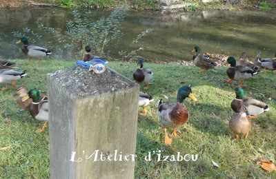 Quand un bracelet passant poisson voyage... Un poisson qui saute hors de l'eau de la rivière et se retrouve dans le décor !  