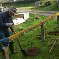 Plantations : des ronces sans épines