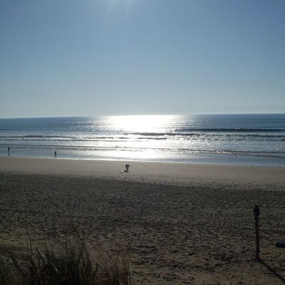 20° (grand-village)