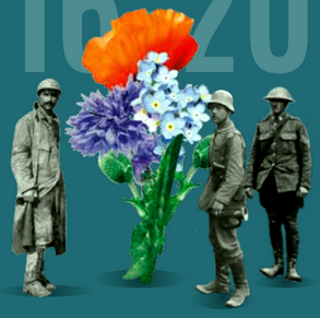 La Somme, un enfer sur terre, 1916